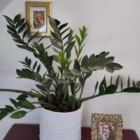 Le Sablon D'hotes 3*