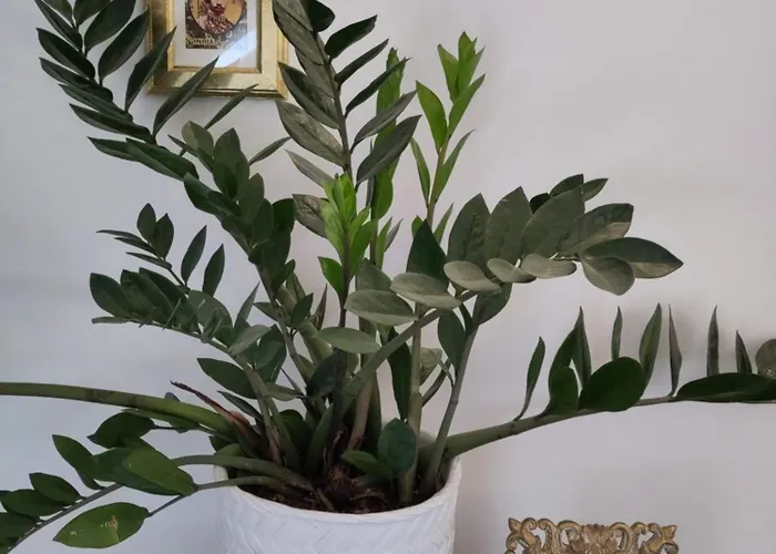 Le Sablon D'hotes 3*